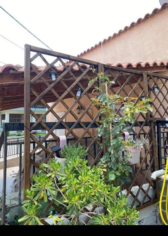 Sady'S House Apartment Yimnon Bagian luar foto